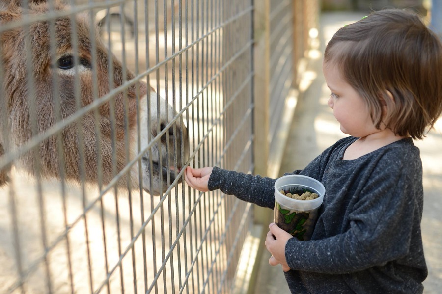 Visiting the Alabama Gulf Coast Zoo is one of our favorite things to do during your Gulf Shores vacation