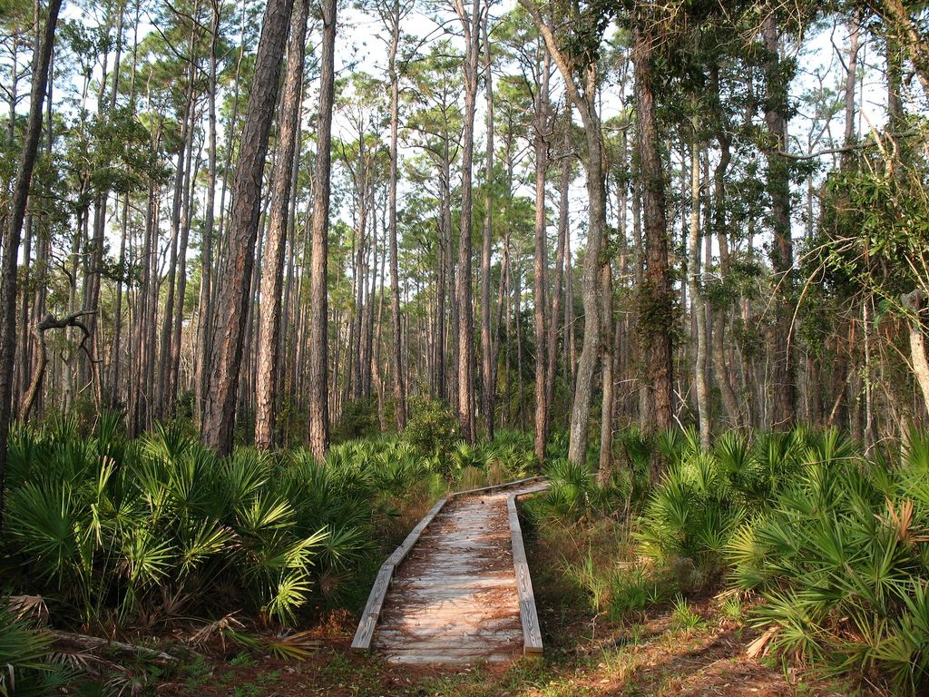 Fort Morgan's wildlife and nature can be seen at Bon Secour National Wildlife Refuge