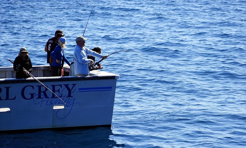 gulf shores fishing charters