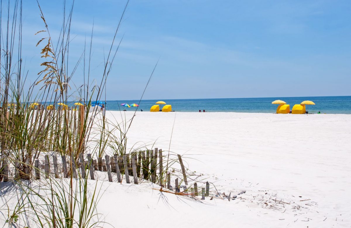 The Beach During Summer In Gulf Shores