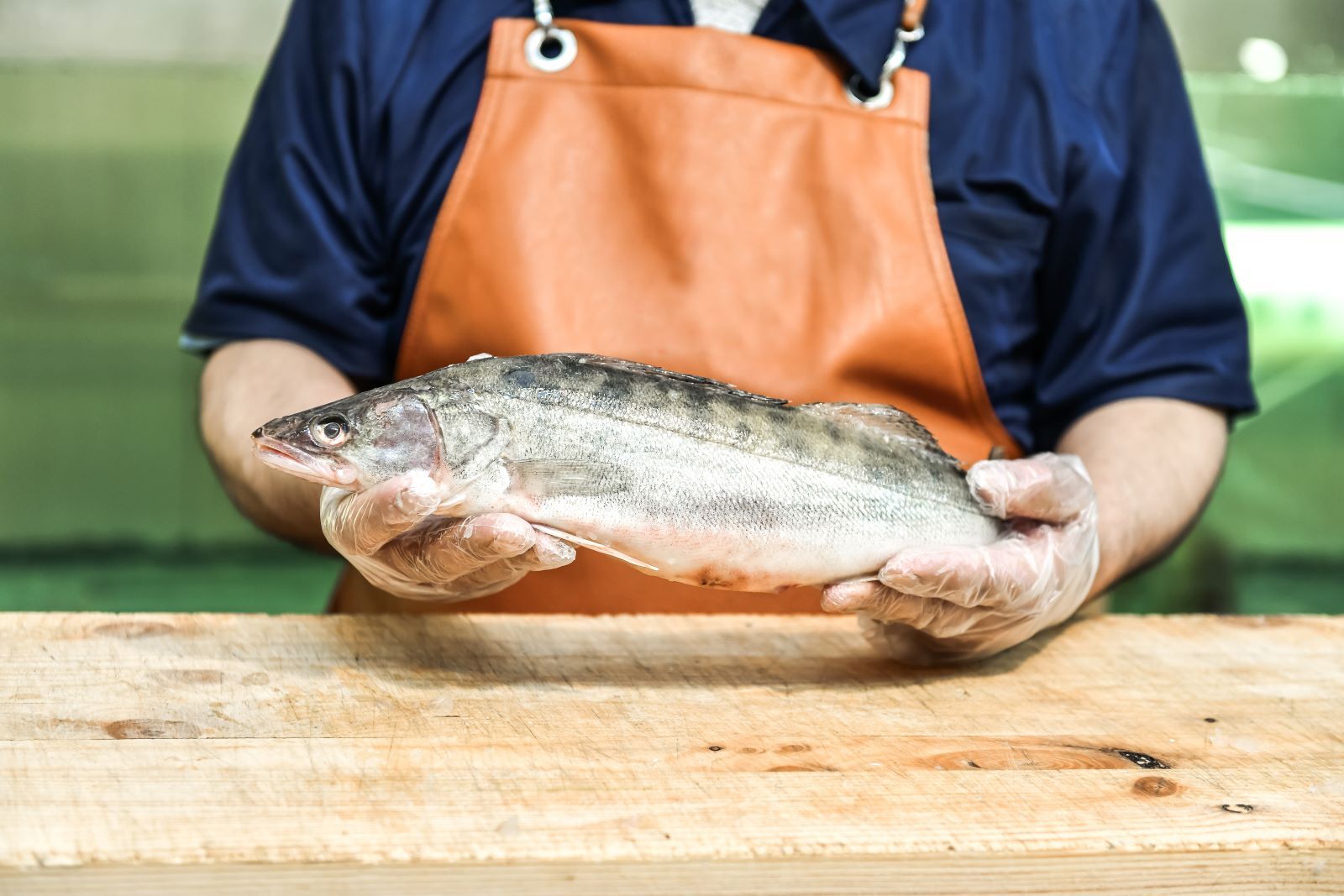 raw fish in hand in Fort Morgan