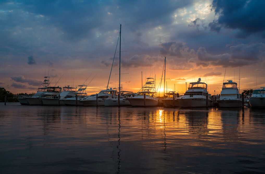 boats in a marina at sunset