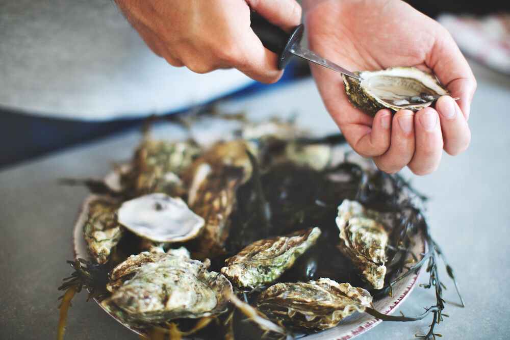 Person shucking an oyster