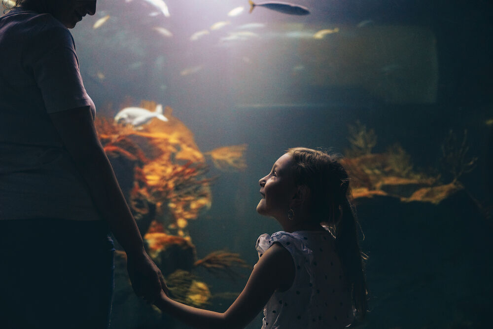 Little girl and mother at an aquarium